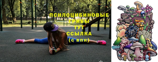 2c-b Абдулино