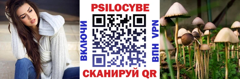 гидра ссылка Фурманов Псилоцибиновые грибы Psilocybe